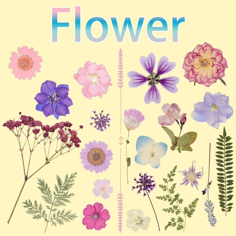 50Pcs Dried Pressed Flowers Resin Mould Real Pressed Flowers Natural Dry Leaves - Picture 4 of 6